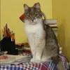 Отзыв от Варвара Никифорова